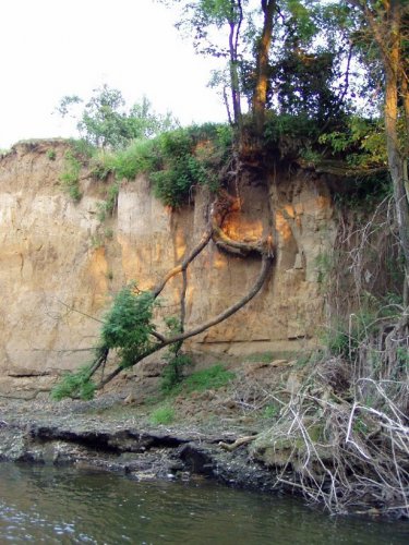 Přírodní památka Olšava - 30.8.2006